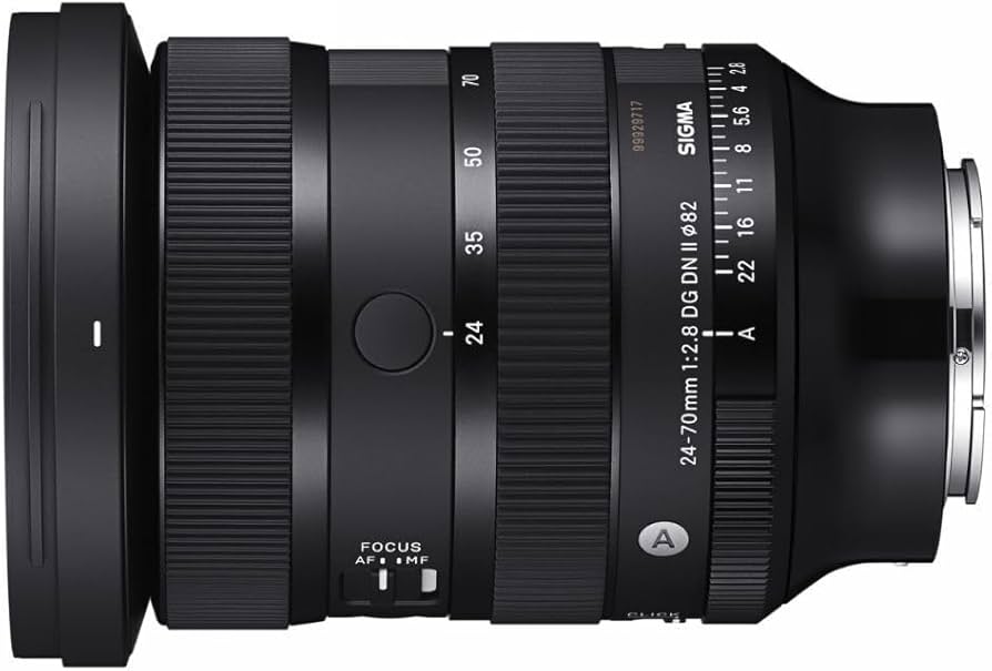 Amazon.com : 24-70mm F2.8 DGDN II for Sony E : Electronics