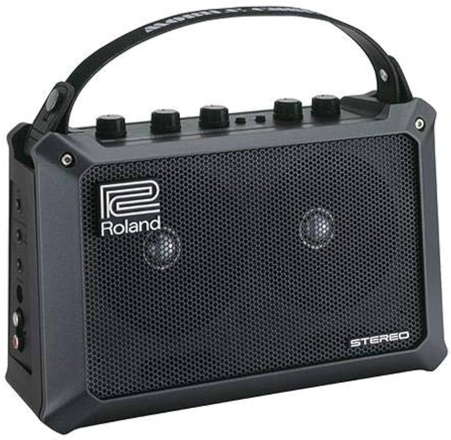 Amazon.com: Roland Mobile Cube Battery-Powered Stereo Amplifier