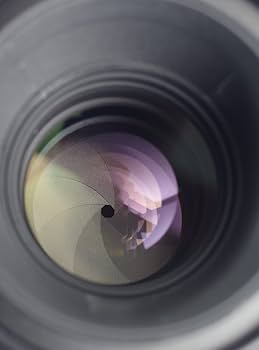 Amazon.co.jp: シグマ 105mm F2.8 EX DG MACRO ペンタックス用 : 家電