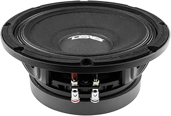 Amazon.com: DS18 8XL800-8 PRO XL 8