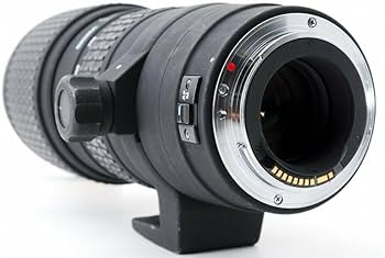 Amazon.co.jp: シグマ 100-300mm F4 APO EX DG HSM キヤノン用 : 家電