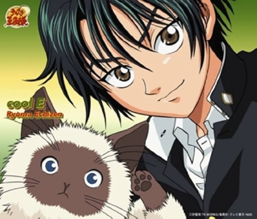 Amazon.co.jp: cool E (「テニスの王子様」越前リョーマ デビュー