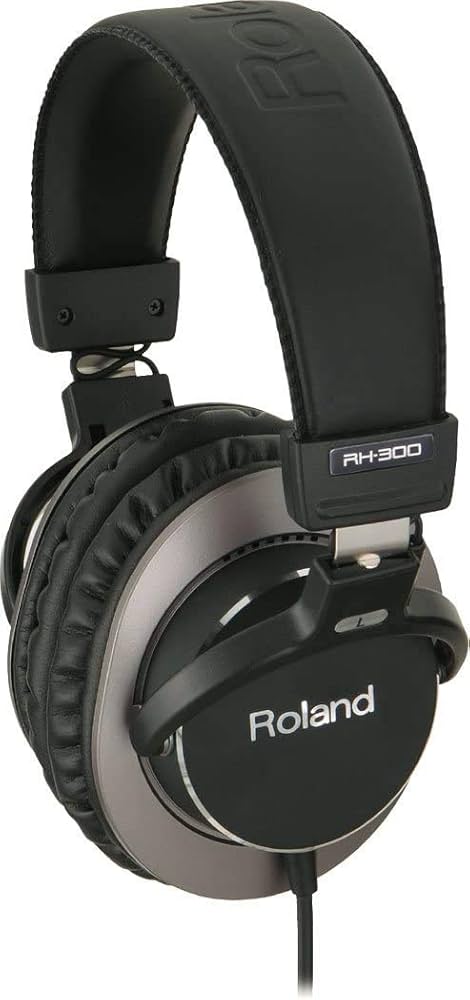 Amazon.com: Roland RH-300 Monitor Headphones, Black : Musical