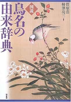 51ATQD8Y42L._AC_UF350,