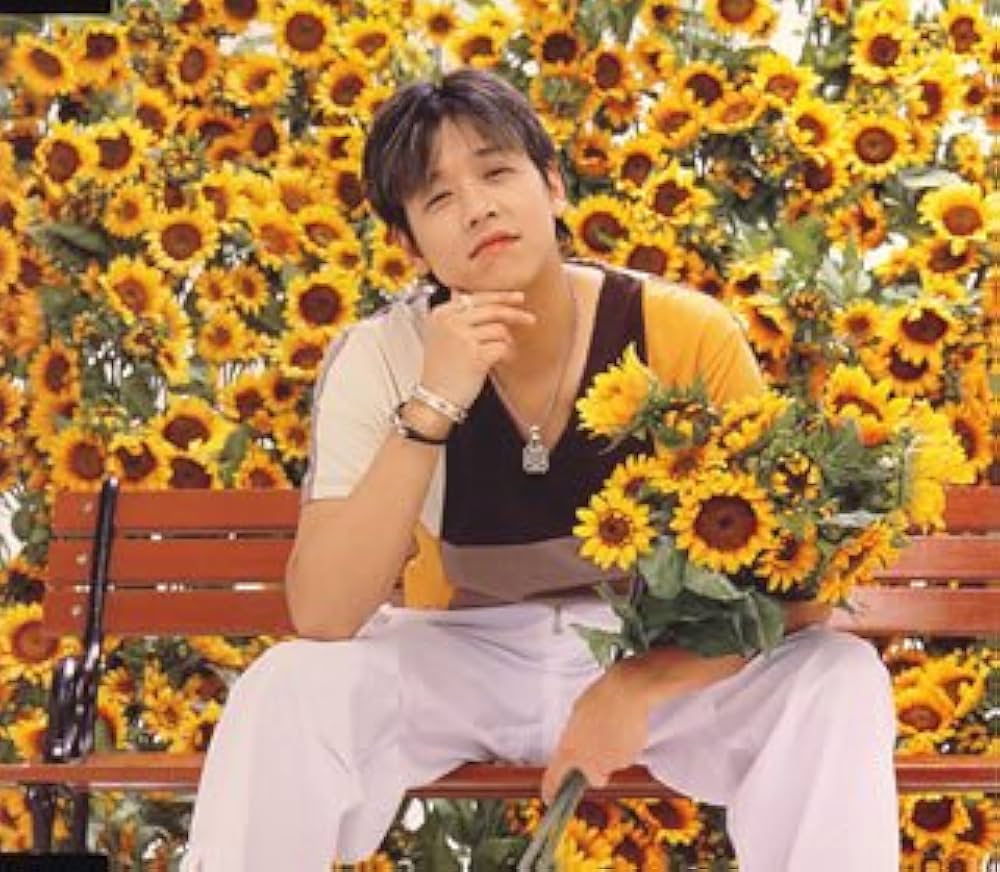 Amazon.co.jp: ひまわりのRhapsody (通常盤): ミュージック