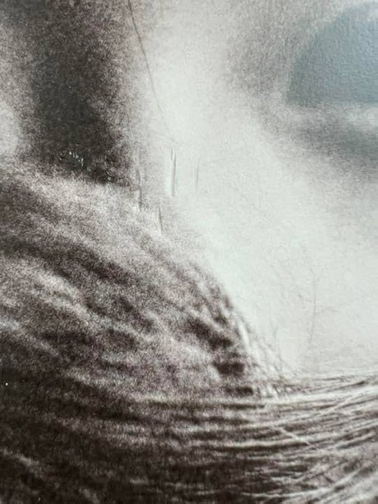 Amazon.co.jp: f(x) クリスタル 写真集 I DON'T WANT TO LOVE YOU