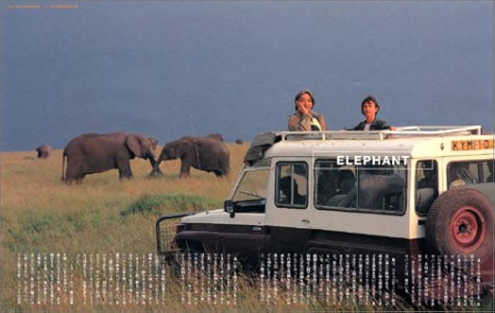 Elephantism : 坂本龍一のアフリカ : ソトコトDVDブック Amazon.com