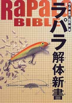 51CH6GHF89L._AC_UF350,