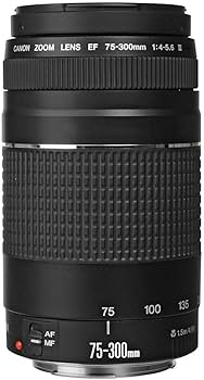 Amazon.co.jp: Canon EF 75 – 300 mm f / 4 – 5.6 III望遠ズームレンズ