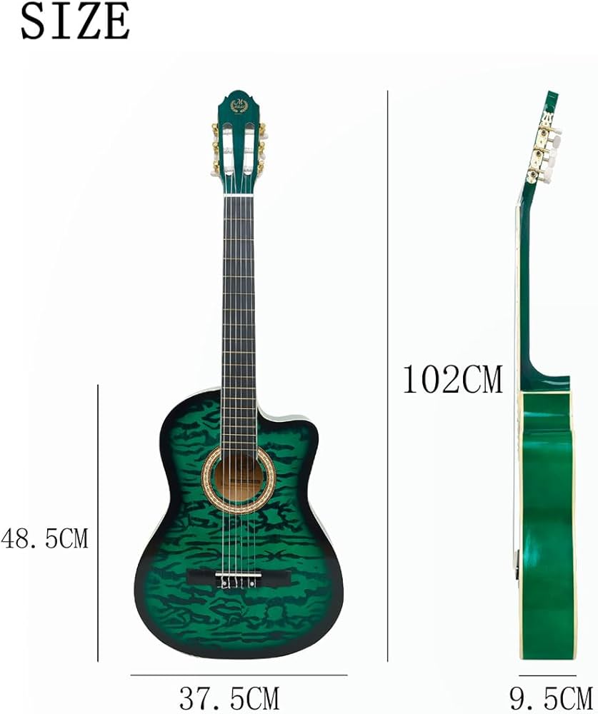 GOAT アコースティックギター スプルーストップ GOAT アコースティック