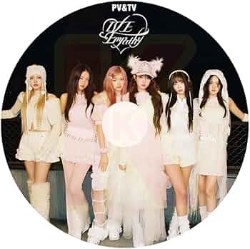 K-POP・アジア D-LITE LOVE YOU DVD K-POP・アジア D-LITE LOVE YOU DVD