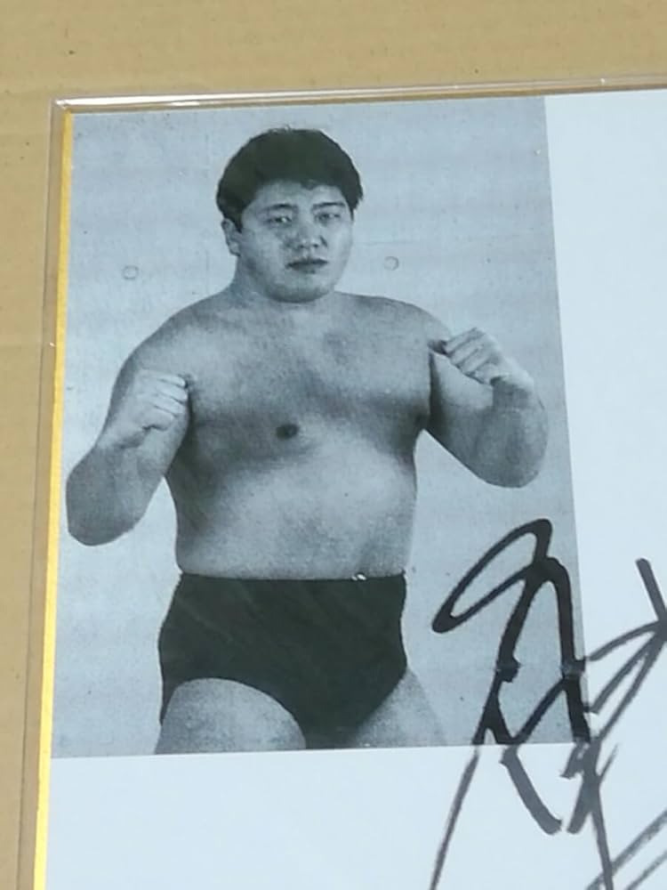 Amazon.co.jp: プロレスラー サイン色紙 仲野信市 : おもちゃ