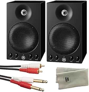 51D4n4N6oOL._AC_UF350,