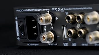 Amazon.com: S.M.S.L A100 Bluetooth 5.0 Stereo Audio Mini Class D