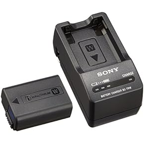 Amazon.co.jp: バッテリー＆充電器セット - バッテリー・充電器