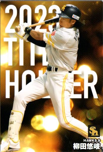 Amazon.co.jp: カルビー2024 プロ野球チップス 第1弾 タイトルホルダー