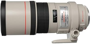 Canon EF 300mm f/4L is USM Telephoto Fixed Lens for Canon SLR