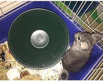 Amazon.co.jp: Exsotic トレッドミルホイール 直径36cm 床置き式の回し