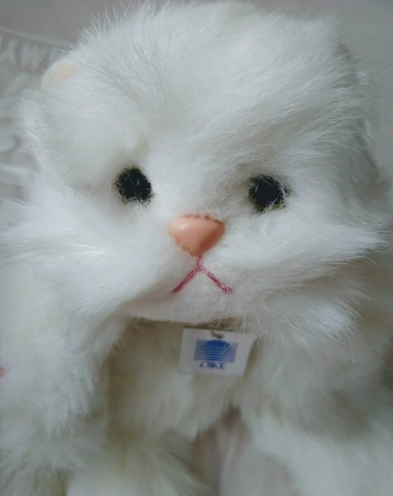 Amazon.co.jp: オオイケOIKEペルシャ猫ぬいぐるみネコねこヌイグルミ白