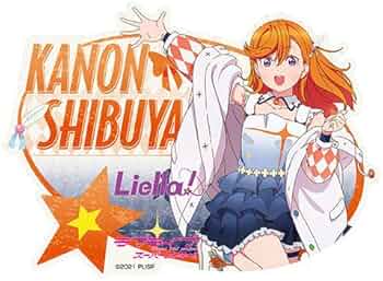 51FaIp2c-QL._AC_UF350,