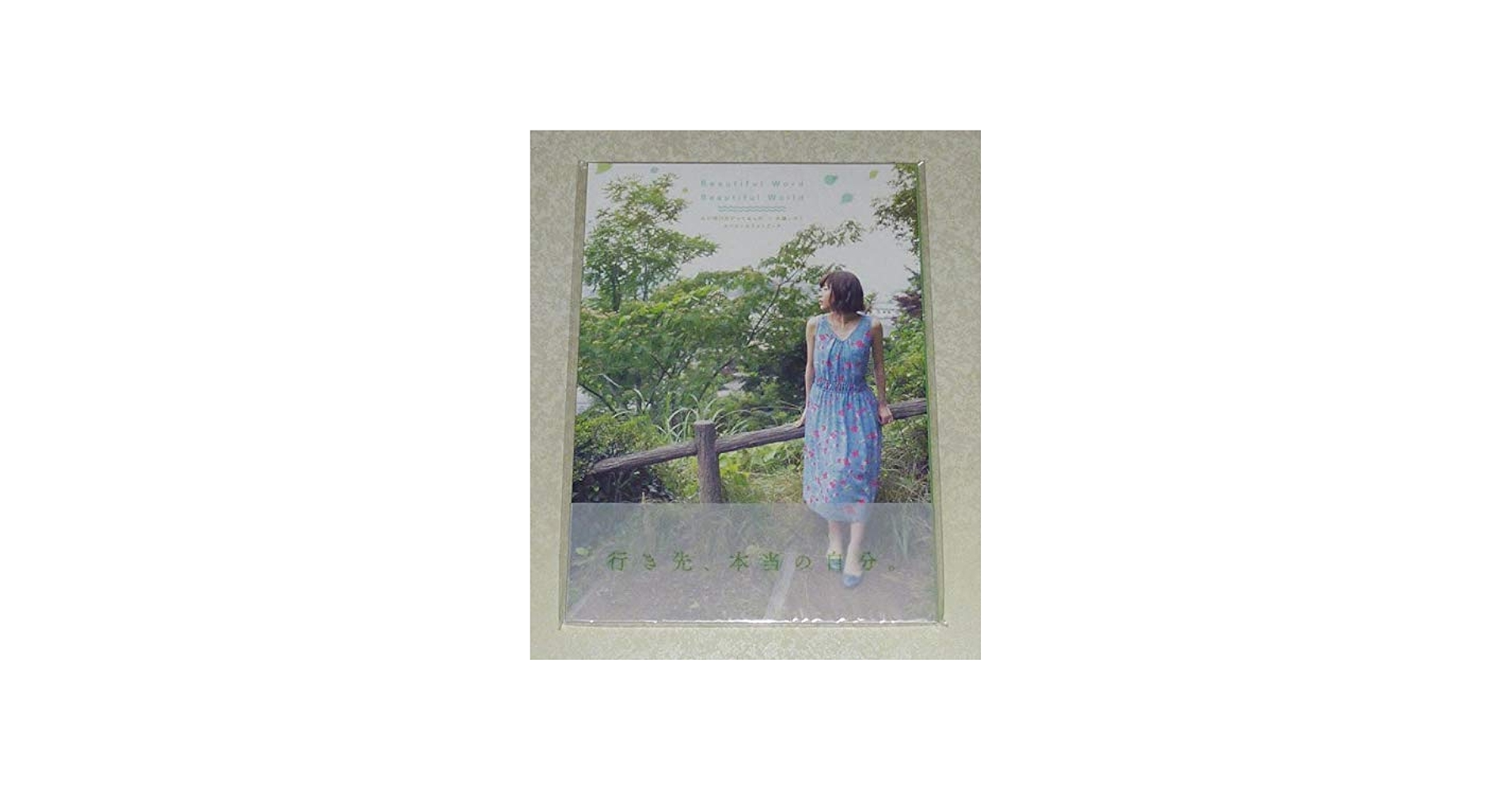 Amazon.co.jp: 水瀬いのり 写真集 Beautiful Word Beautiful World 心