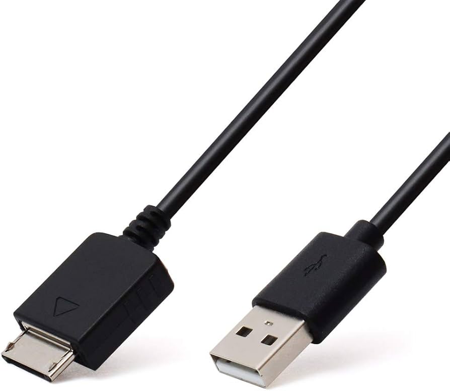 Amazon.co.jp: SONY ウォークマン 互換性USBケーブル 1m WMポート専用