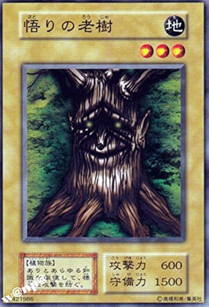 Amazon.co.jp: 遊戯王カード 悟りの老樹 STARTER BOX 【ﾉｰﾏﾙ】 型番