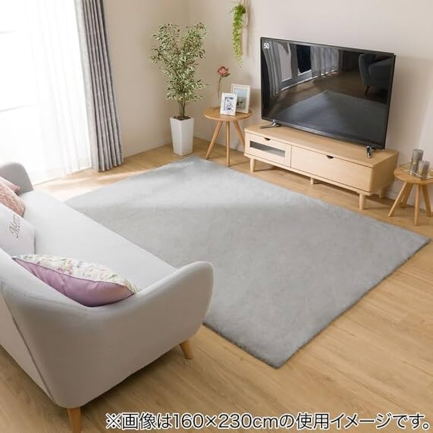 Amazon｜ニトリ(NITORI) アクセントラグ ウサギラグ3 200X285 LGY US02