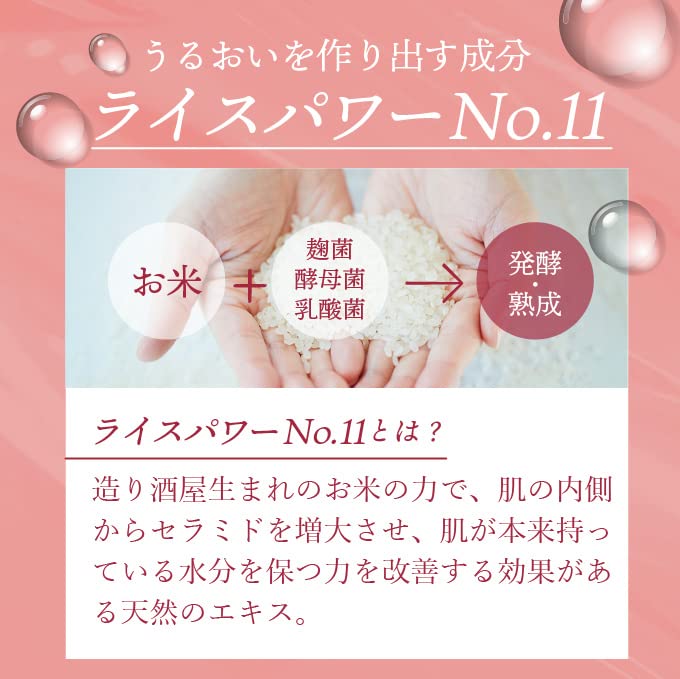 Amazon | ライスビギン プログレス ナイトクリーム No.11 30グラム 2