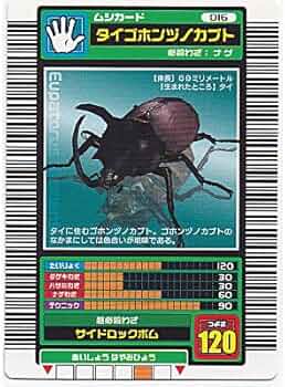 51HOioo0FWL._AC_UF350,