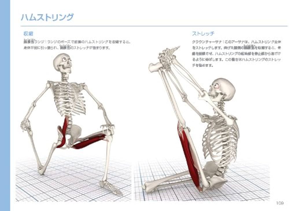 図解YOGAアナトミー:筋骨格編 - 医師が解説するヨガの機能解剖学