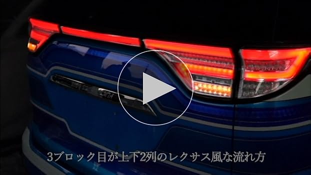 Amazon | クリスタルアイ ファイバーLEDテールランプ 50系/20系