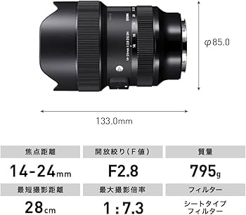 Amazon.com : Sigma 14-24mm F2.8 DG DN Sony E Mount (Renewed