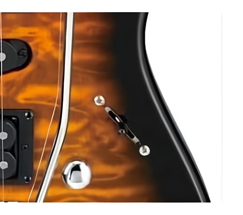 Amazon.com: Ibanez Gio GRX70QA - Sunburst : Musical Instruments