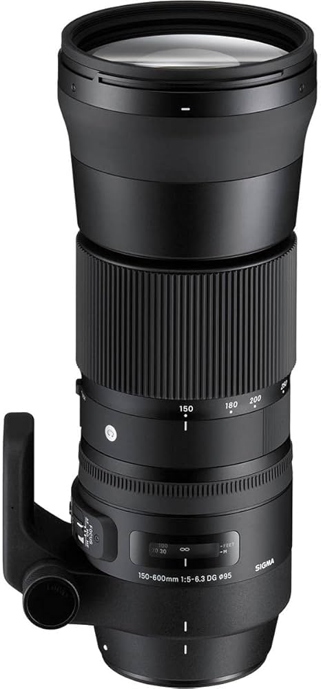 Amazon.co.jp: SIGMA 150-600mm F5-6.3 DG OS HSM | Contemporary C015