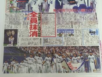 Amazon.co.jp: 中日新聞 中日 ドラゴンズ クリアファイル 2010年 セ