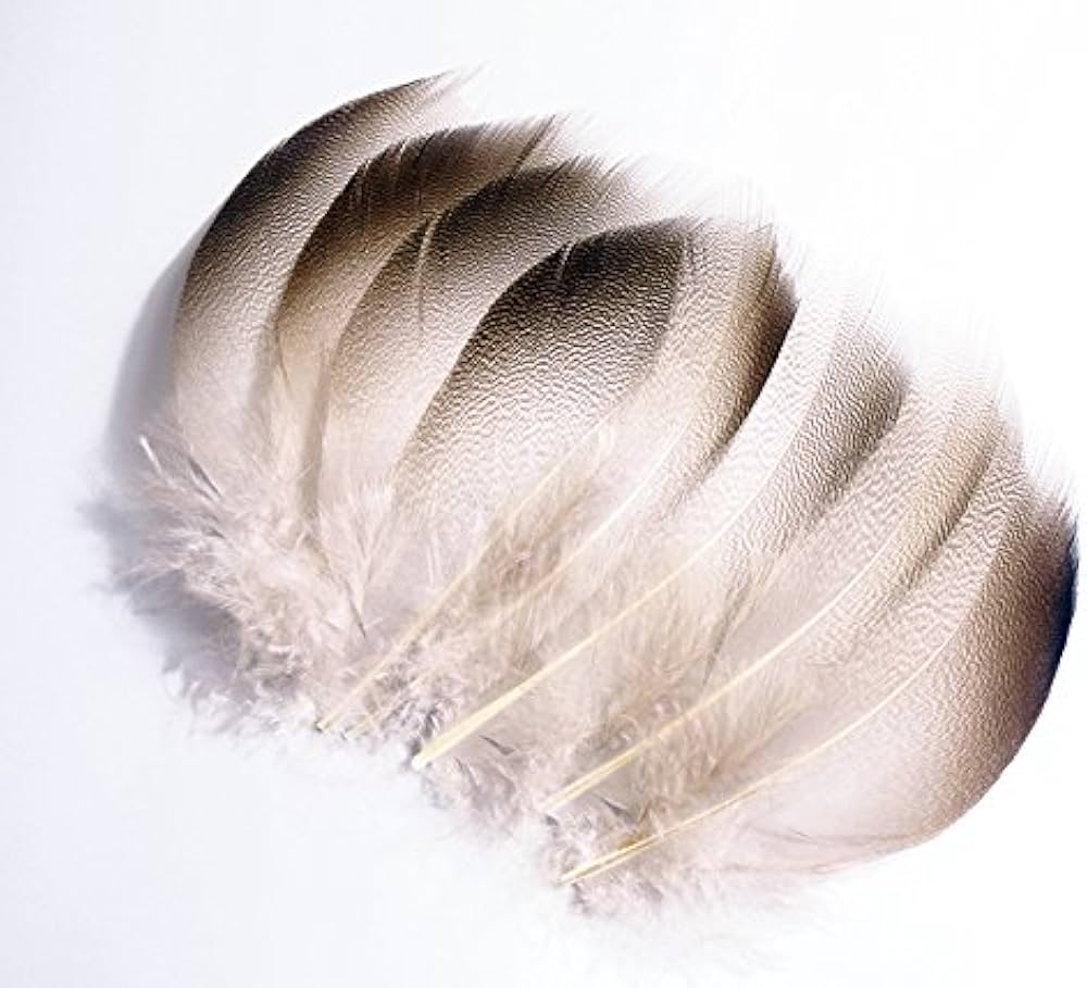 Amazon | ブラウンマラード・セレクト 8本 ［004-Fe01-N］【メール便