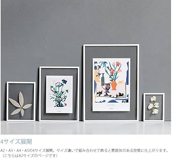 Amazon.co.jp: MOEBE / フレーム A2(Aluminium(Black) : ホーム＆キッチン