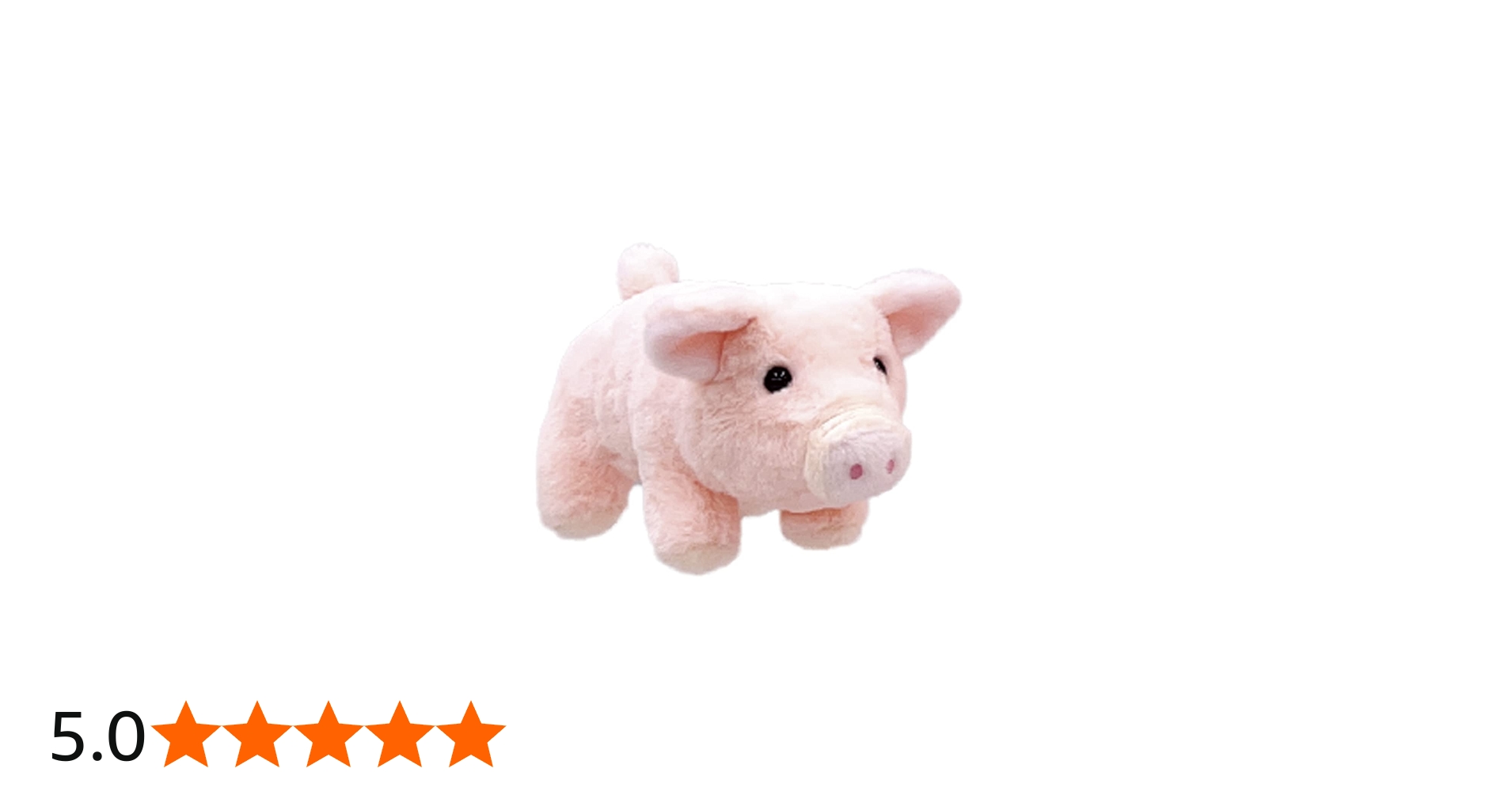 51KaxWO7QLL.jpg_BO30,255,255,