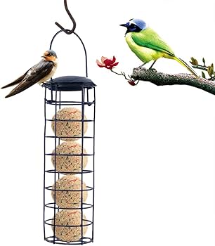 Amazon.co.jp: 鳥の餌箱 団子グリースボール 屋外ツリーハンギング