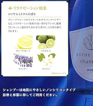 Amazon | エステロワイエ シャンプー 業務用10L ノンシリコン
