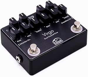 Vivie CALLION - 「プロギタリストに求められるオーバードライブ