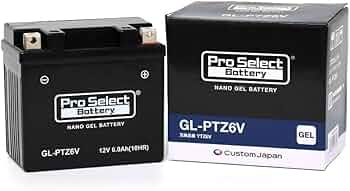 Amazon | ProSelect(プロセレクト) バイク GL-PTZ6V ナノ・ジェル