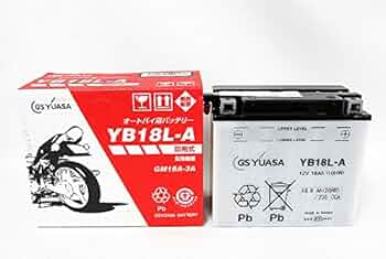 51LX6R1EN5L._AC_UF350,