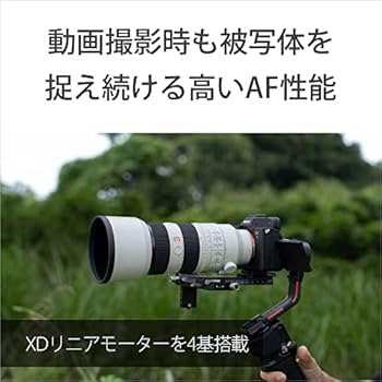 Amazon.co.jp: SONY(ソニー) 望遠ズームレンズ フルサイズ FE 70-200mm