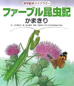 51Lmw7rjUoL._AC_UF350,