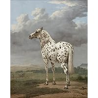 油絵 専用 大好きな馬に乗る鳥 油絵 専用 大好きな馬に乗る鳥 油絵