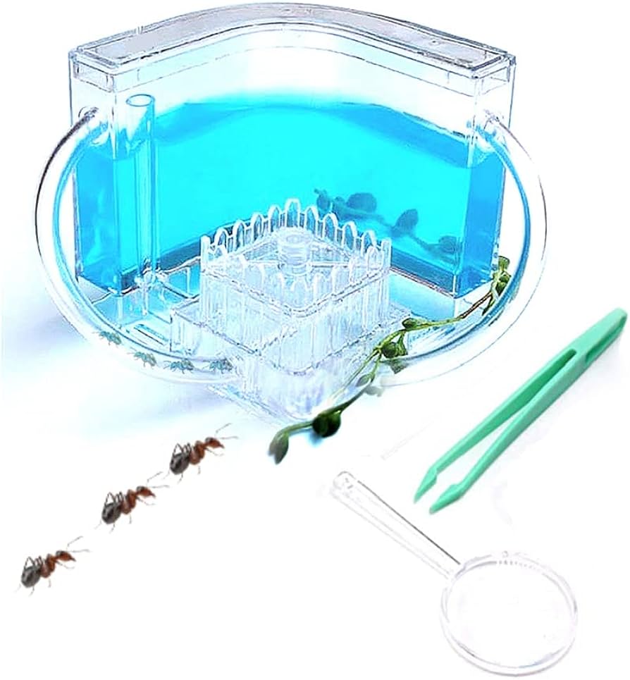 Amazon | アリの巣観察キット アリ城 ありの巣 アリ飼育セット 半透明