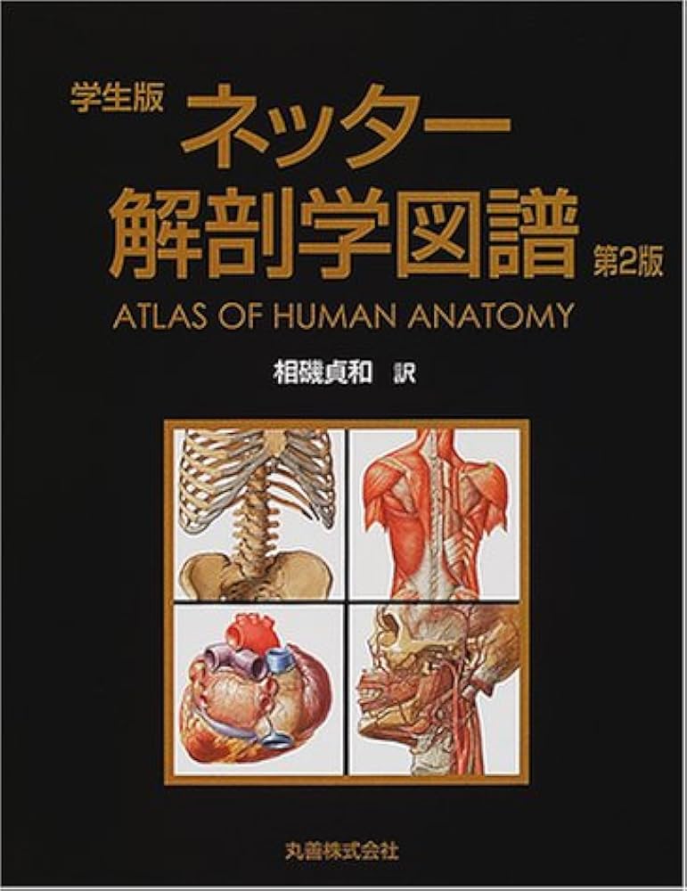 ネッター解剖学図譜 第2版 学生版 | ネッター, 相磯 貞和 |本 | 通販