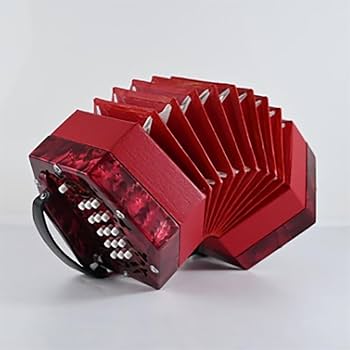 Amazon | 20キー 六角形アコーディオン 大人用 プロフェッショナル